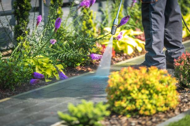Best Gutter Cleaning and Brightening in Vernon, AL